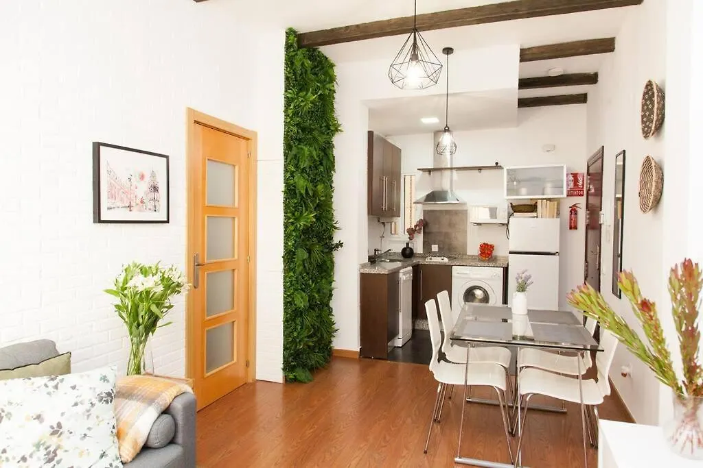 Zona 1 Santa Cruz Parking Privado Apartment Seville